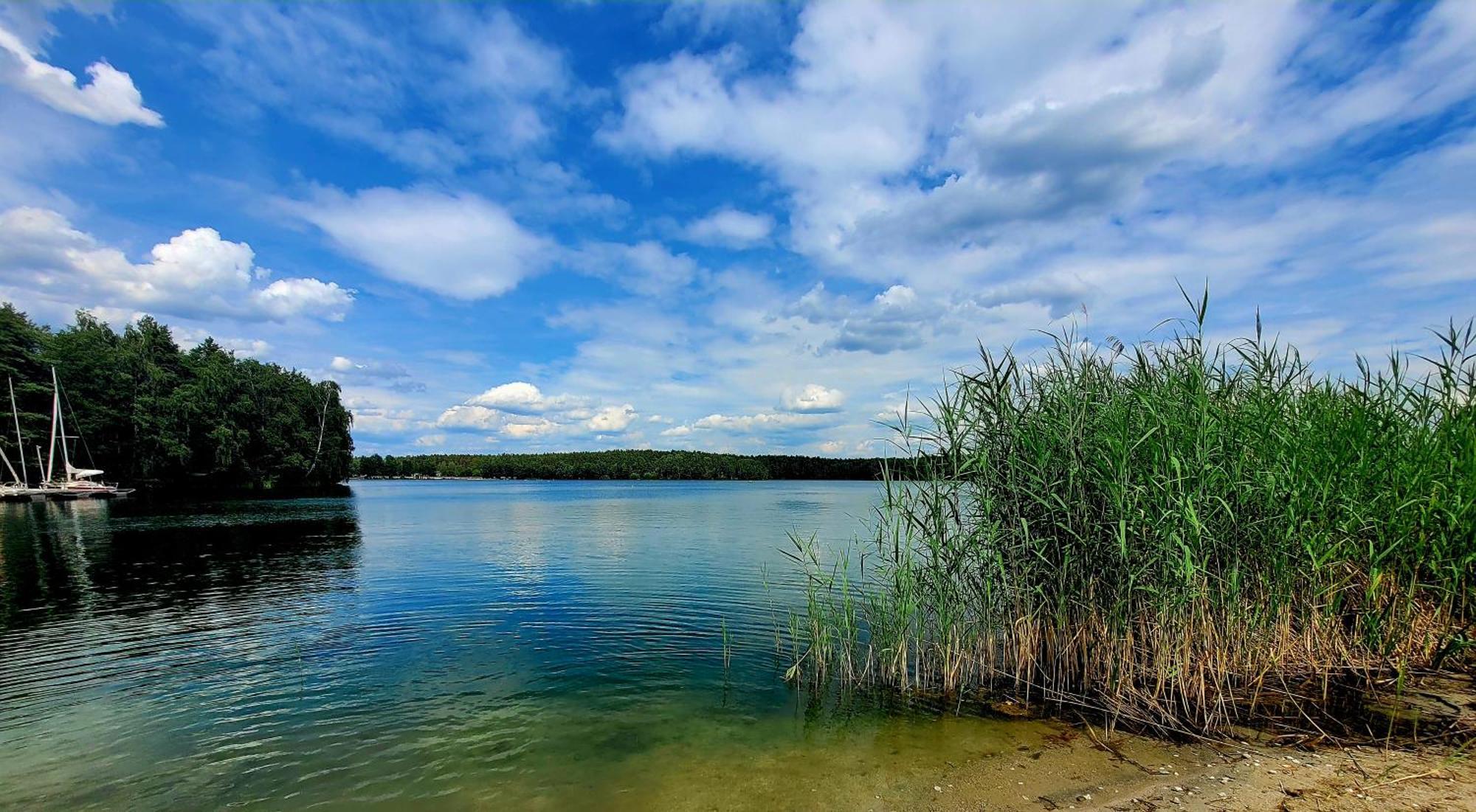 Ferienwohnung Seeglueck Im Oberpfaelzer Seenland Schwandorf in Bayern Exteriör bild